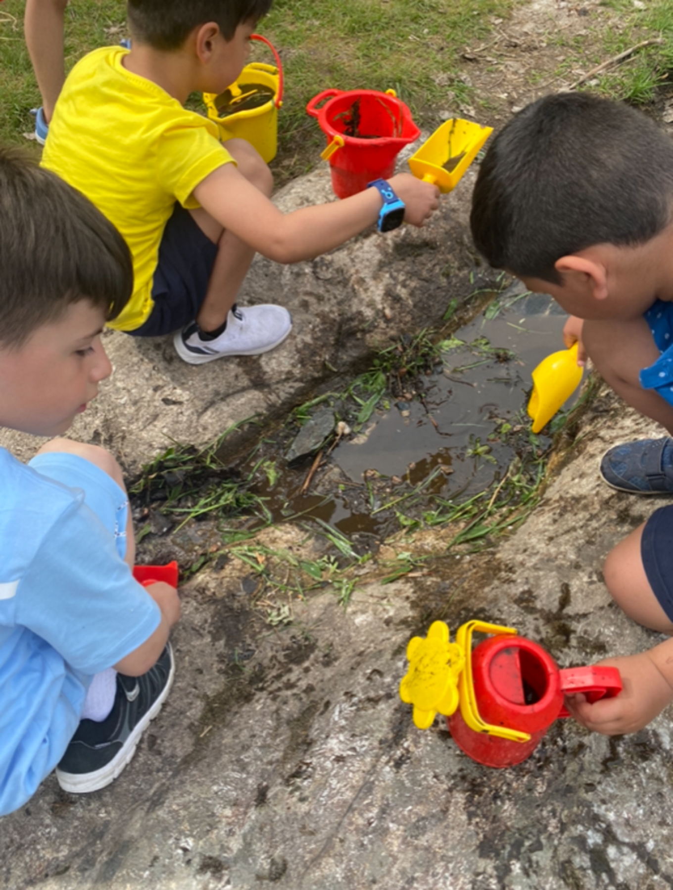 Elever leker med vann og spader i skogen.